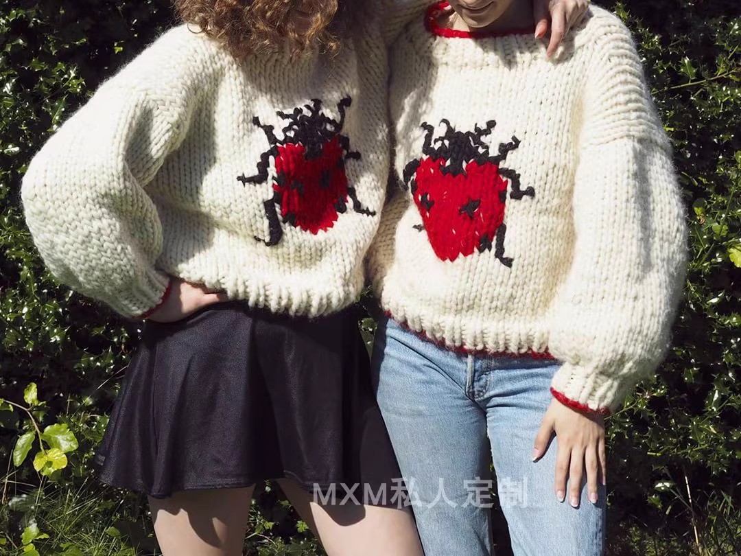 Suéter de lana pura con diseño - Embroidery Lady Bug reseña y precio